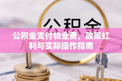 荥经公积金支付物业费，政策红利与实际操作指南