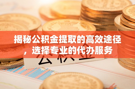 荥经揭秘公积金提取的高效途径，选择专业的代办服务