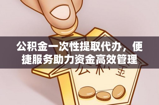 荥经公积金一次性提取代办，便捷服务助力资金高效管理