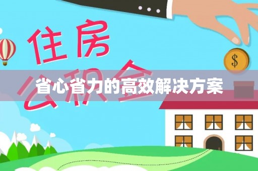 荥经省心省力的高效解决方案