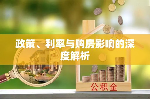 荥经政策、利率与购房影响的深度解析