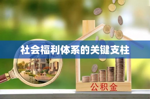 荥经社会福利体系的关键支柱