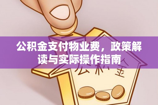 荥经公积金支付物业费，政策解读与实际操作指南