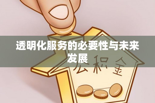 荥经透明化服务的必要性与未来发展