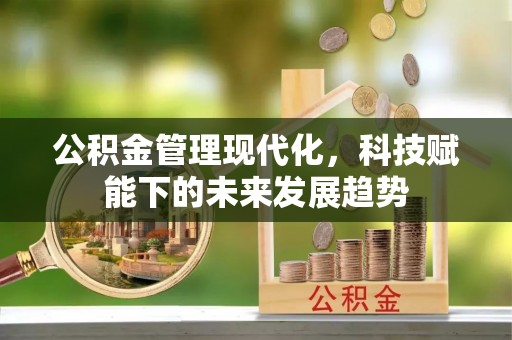 荥经公积金管理现代化，科技赋能下的未来发展趋势