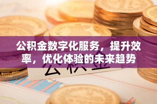 荥经公积金数字化服务，提升效率，优化体验的未来趋势