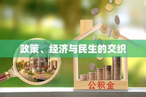 荥经政策、经济与民生的交织