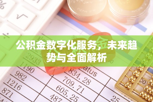 荥经公积金数字化服务，未来趋势与全面解析