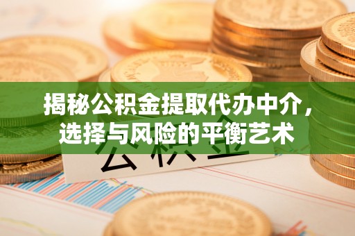 荥经揭秘公积金提取代办中介，选择与风险的平衡艺术