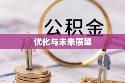 荥经优化与未来展望