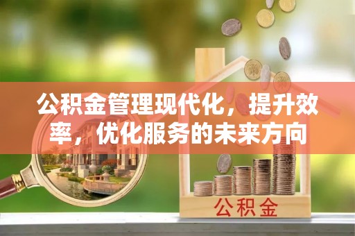 荥经公积金管理现代化，提升效率，优化服务的未来方向