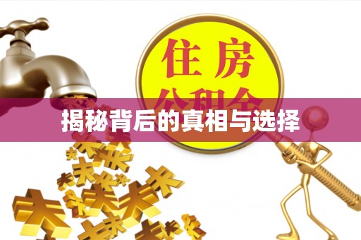 荥经揭秘背后的真相与选择