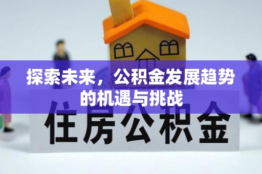 荥经探索未来，公积金发展趋势的机遇与挑战