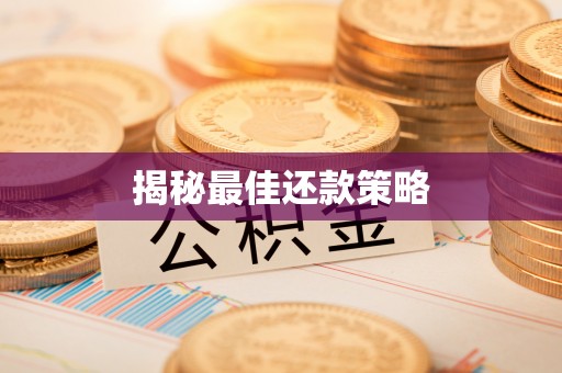 荥经揭秘最佳还款策略