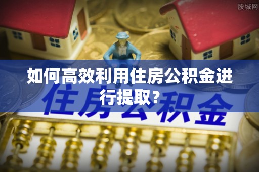 荥经如何高效利用住房公积金进行提取？