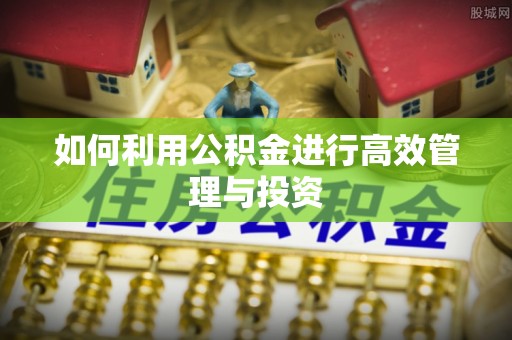 荥经如何利用公积金进行高效管理与投资
