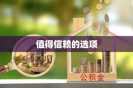 荥经值得信赖的选项