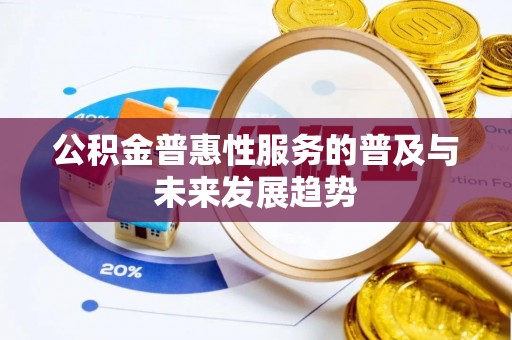 荥经公积金普惠性服务的普及与未来发展趋势
