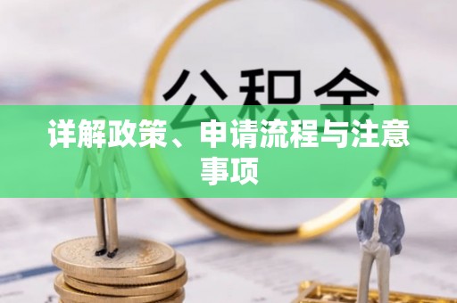 荥经详解政策、申请流程与注意事项