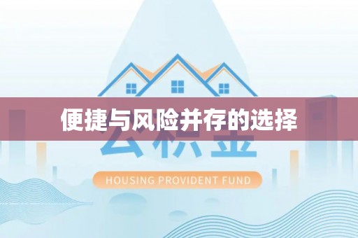 荥经便捷与风险并存的选择