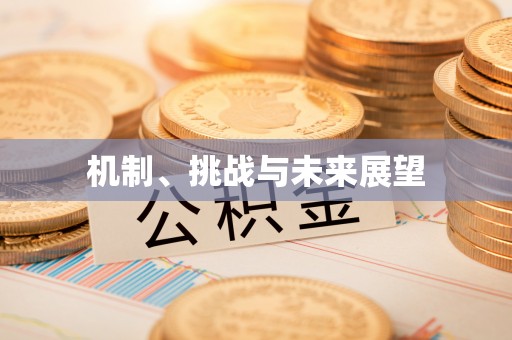 荥经机制、挑战与未来展望