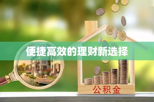 荥经便捷高效的理财新选择