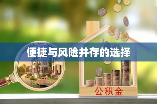 荥经便捷与风险并存的选择
